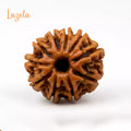 10 Mukhi Rudraksha