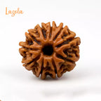 10 Mukhi Rudraksha