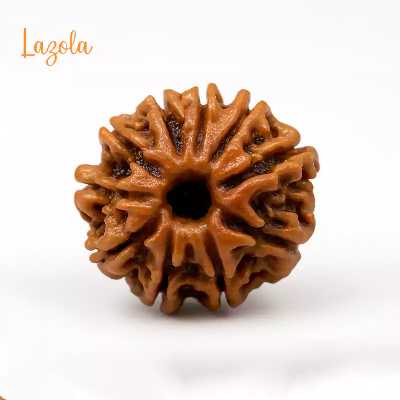10 Mukhi Rudraksha