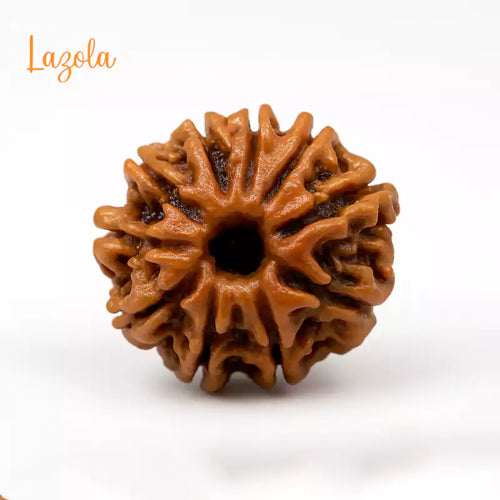 10 Mukhi Rudraksha