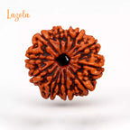11 Mukhi Rudraksha