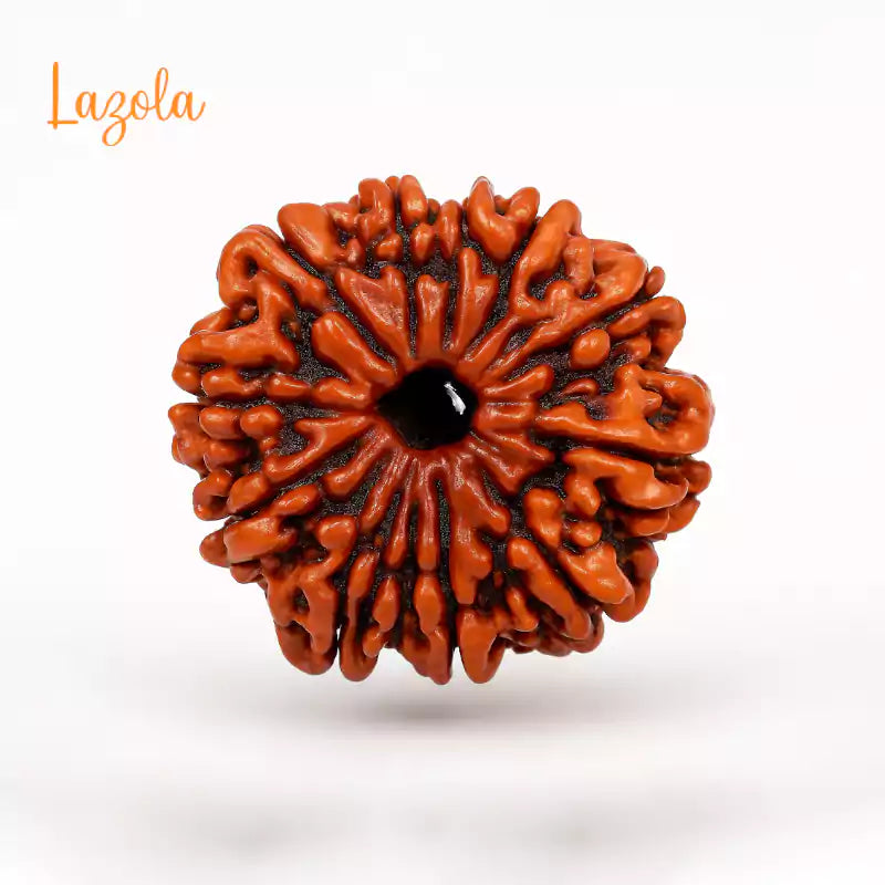 11 Mukhi Rudraksha