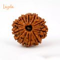 12 Mukhi Rudraksha