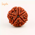 5 Mukhi Rudraksha