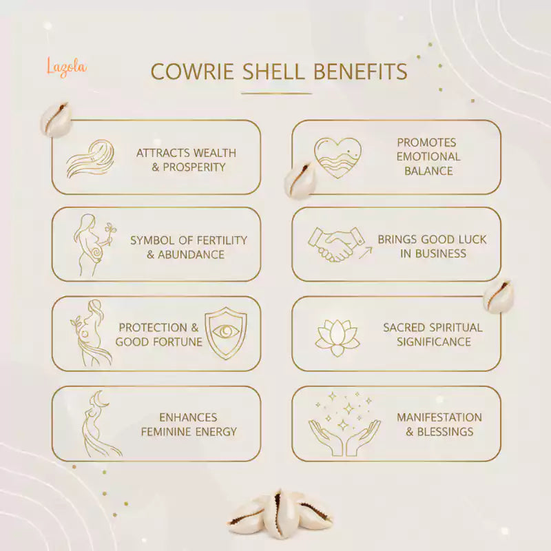 Cowrie Shells