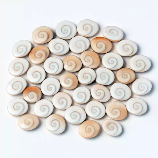 12 Gomati Chakra