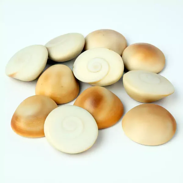 12 Gomati Chakra