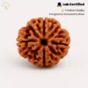 4 Mukhi Rudraksha