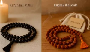 karungali malai vs rudraksha mala Lazola India