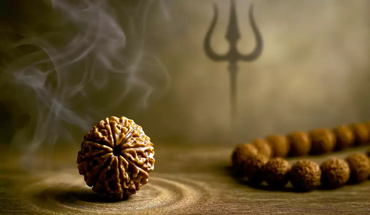 1 Mukhi Rudraksha Benefits Lazola India