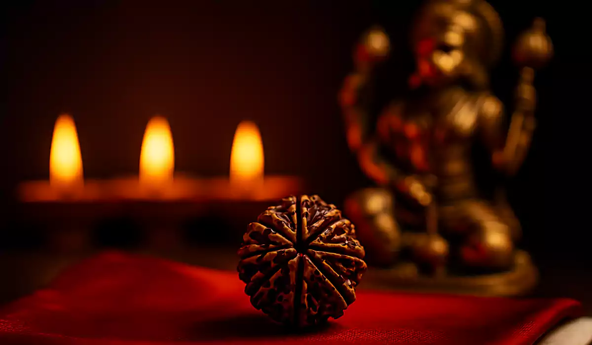 11 Mukhi Rudraksha Benefits Lazola India