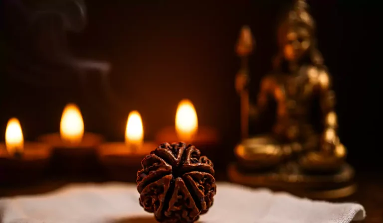 6 Mukhi Rudraksha Benefits Lazola India