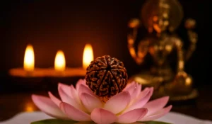 7 Mukhi Rudraksha Benefits Lazola India