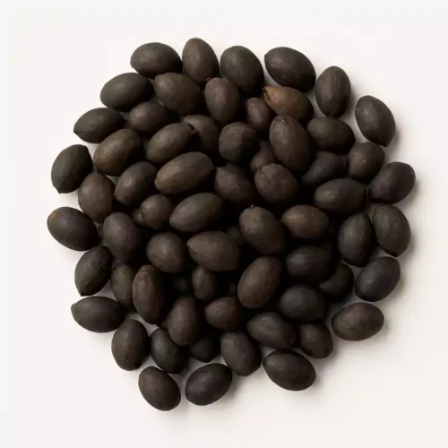 Lotus Seeds for Laxmi Puja Lazola India